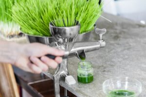 Extraction of Wheatgrass in Action on the Kitchen Countertop usi